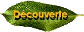Decouverte