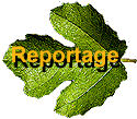 Reportage