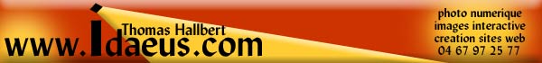 Idaeus.com - Contact us!